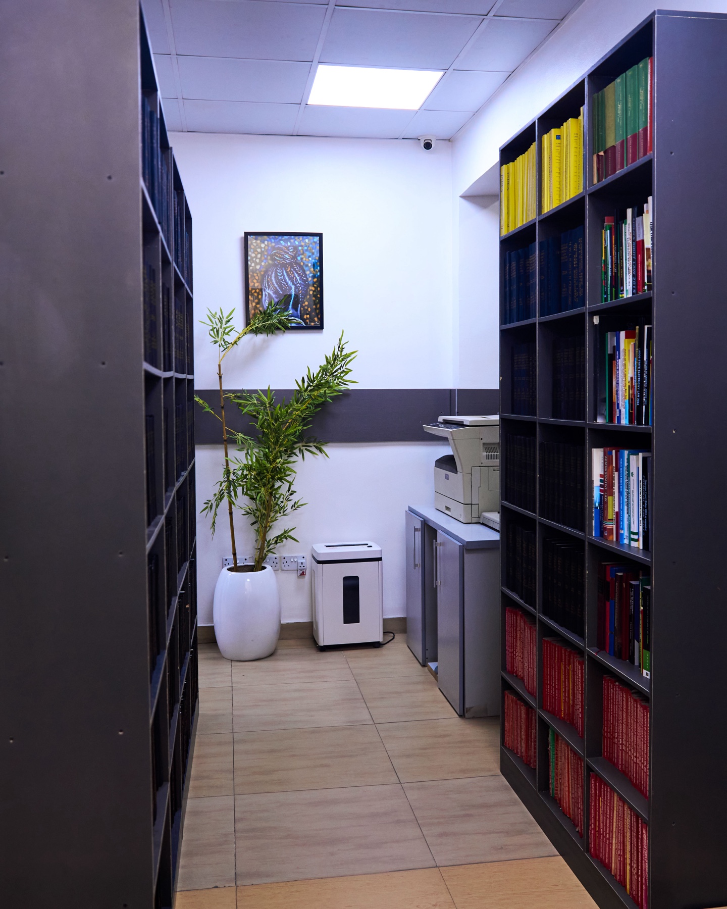 ECOLAW Firm library corridor